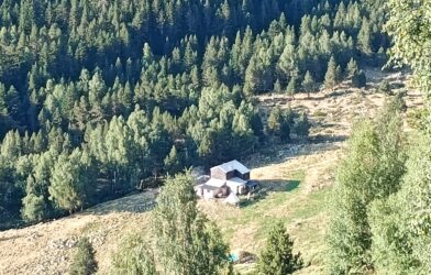 Création et reconnexion estivale à la nature