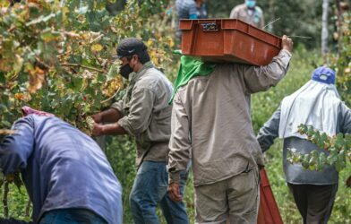 Prochaine journée paroissiale et d’offrande