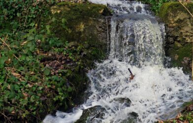 Jeu concours de l&rsquo;été, temps de la création