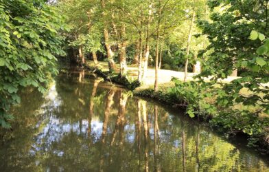 Une balade méditative au bord de la Bièvre